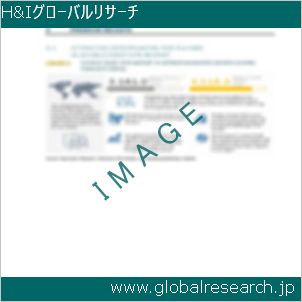 グローバルリサーチ調査レポートのイメージ